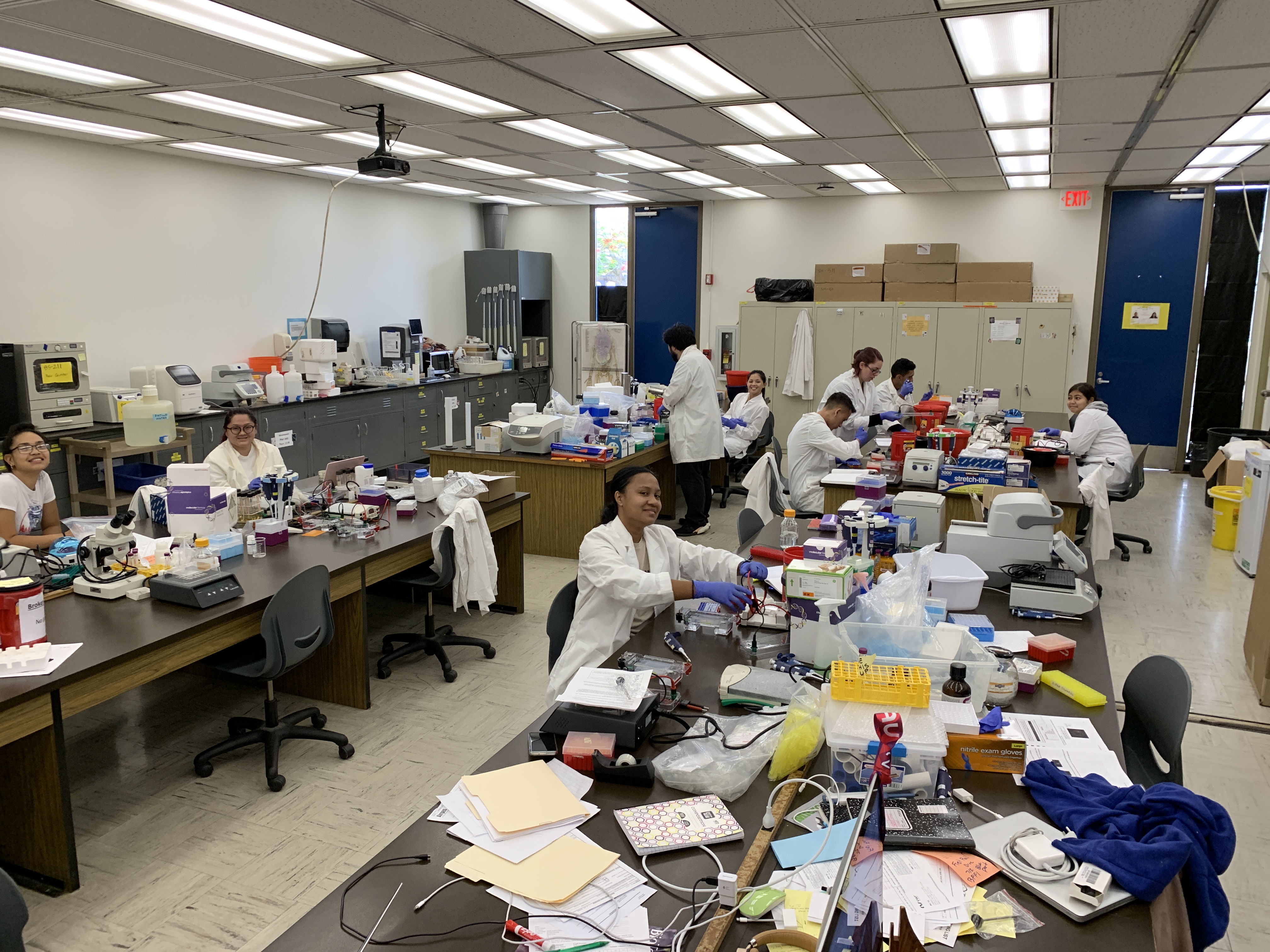 Picture of our young scientists hard at work.