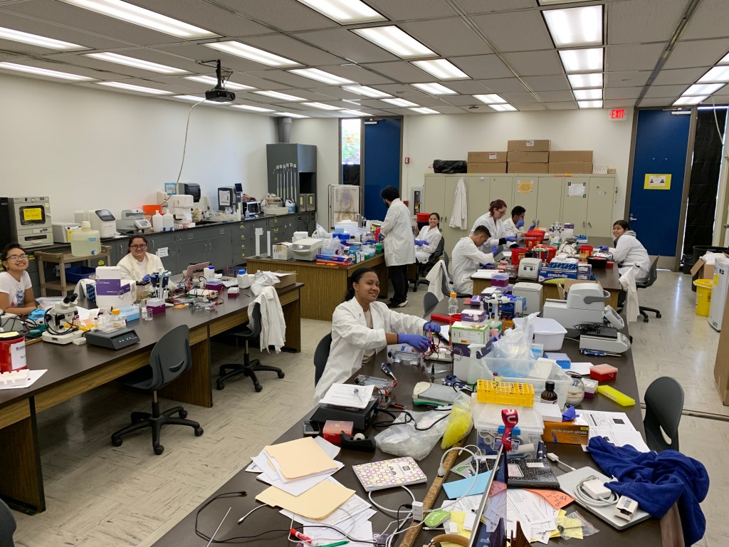 Our young scientists hard at work.